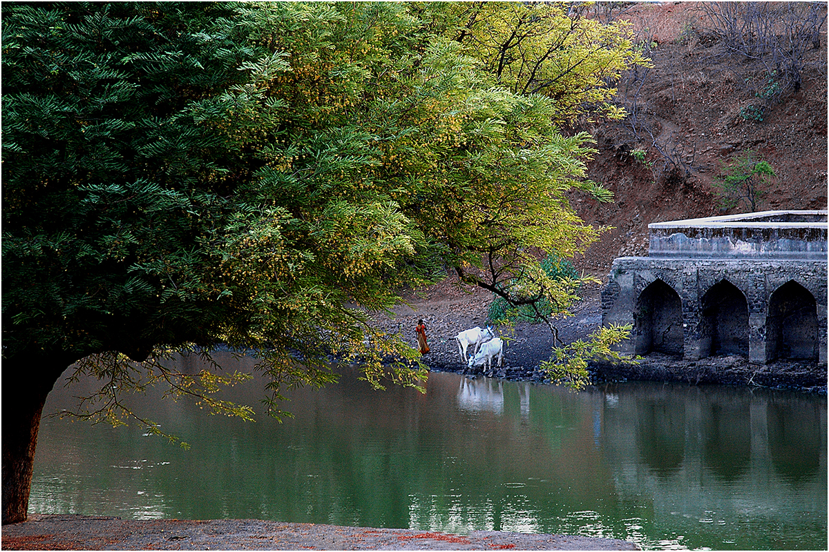 Rewa Pond