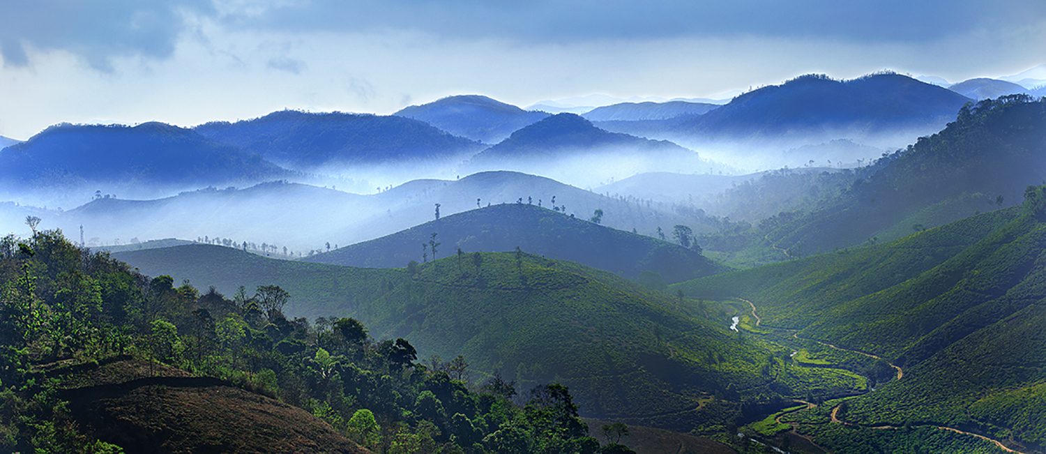Neelgiri Mountain Range